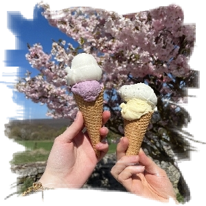 Ausflug zum Eisvergnügen